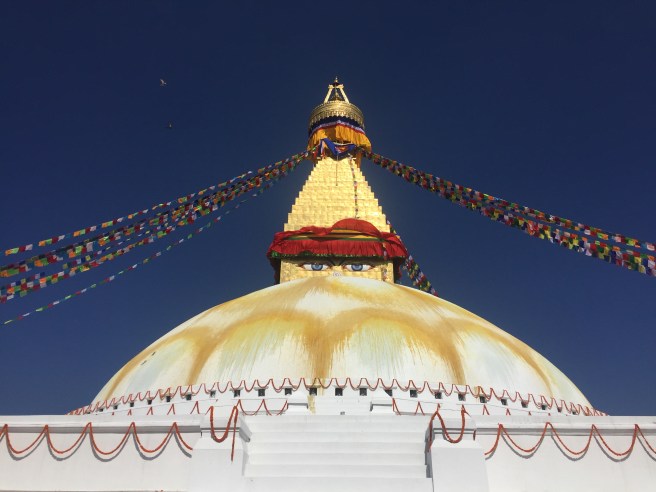 33BD0902-963A-4E79-9A33-ABD05E71140B