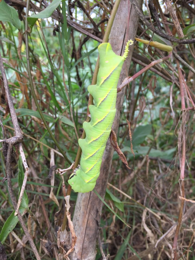 C9D07272-8D4A-4458-8F46-F80E768DE2CE